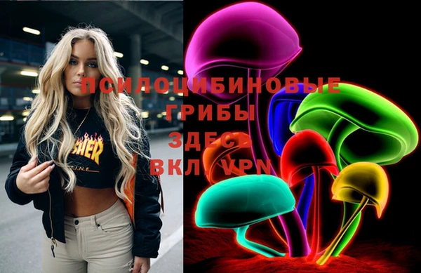 spice Алексеевка