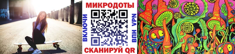 Купить где  Высоцк  Псилоцибиновые грибы прущие грибы 
